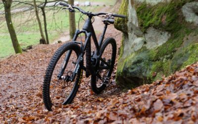 FORBIDDEN BIKES “DRUID” bald bei uns!