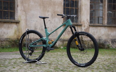 Dreambuild Forbidden Druid V2